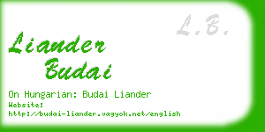 liander budai business card